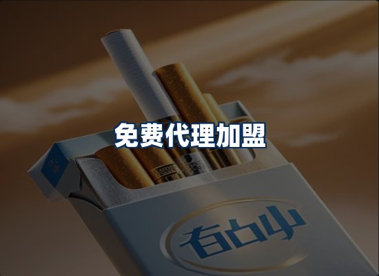 专业团队办公环境